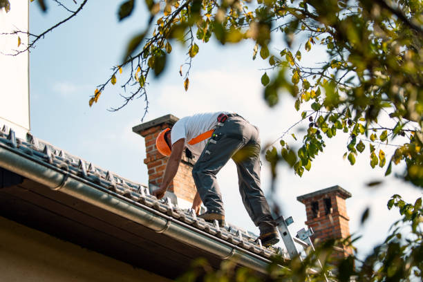 Best Rubber Roofing (EPDM, TPO)  in Vandercook Lake, MI