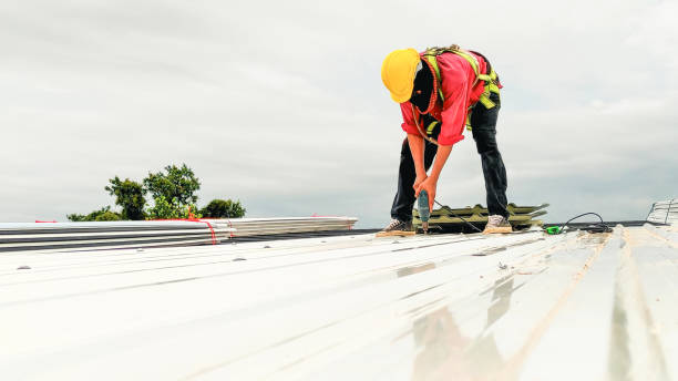 Best Hot Roofs  in Vandercook Lake, MI