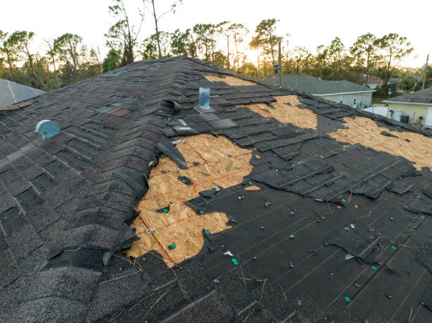 Best Storm Damage Roof Repair  in Vandercook Lake, MI